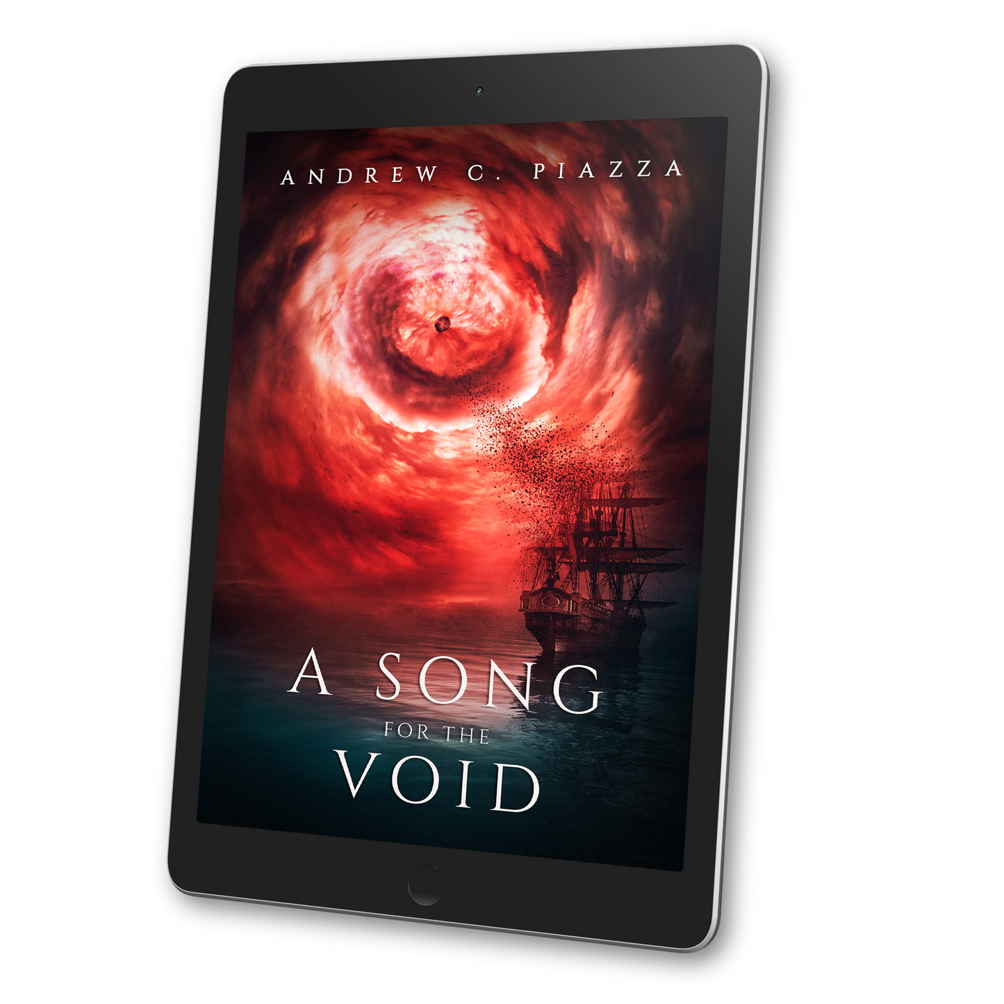 A Song For The Void ebook